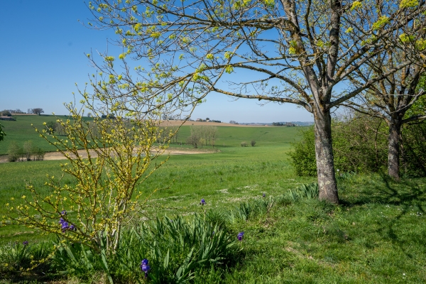 Lovely Chartreuse On Splendid Location